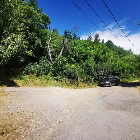 Domcek Paradajz